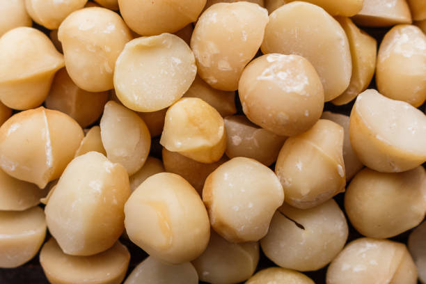 Macadamia Nuts